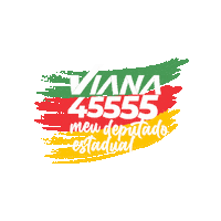 Viana Sticker by deputadoviana