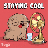 Sweating Stay Cool GIF by Fugz Official