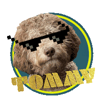 Dog Sunglasses Sticker by Charlotte's Law & Fine Prints