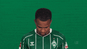 Werder Bremen GIF by Bundesliga