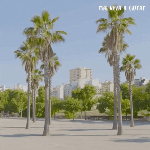 Mai Neva A Ciutat GIF by IB3