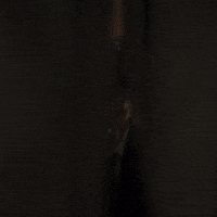 Coming In Netflix GIF by Telfaz11