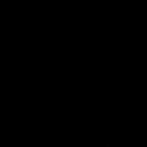 Goal Hockey GIF by Eisbären Berlin