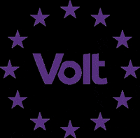 VoltEuropa volt votevolt volt europa volt stars GIF