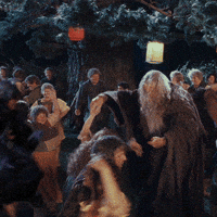 Lord Of The Rings Dancing GIF by Bell Brothers