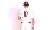Baseball Roll Pards GIF by Lafayette Leopards