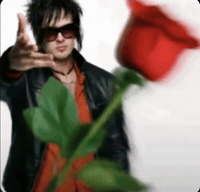 The Rev Rose GIF