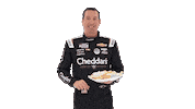 Kyle Busch Sticker by Richard Childress Racing
