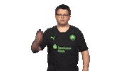 Fürth Elfenomeno Sticker by Bundesliga