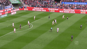 jhon cordoba football GIF by 1. FC Köln