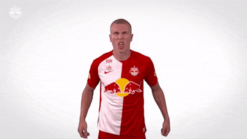 Goal Cheer GIF by FC Red Bull Salzburg