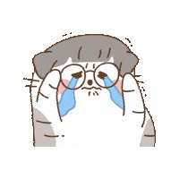 Lookiivn cutie cabbit lookiivn cry cat Sticker