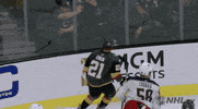 Celebrate Ice Hockey GIF by NHL
