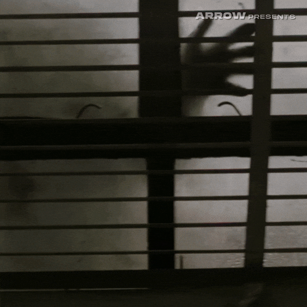 Peter Ho-Sun Chan Horror GIF by Arrow Video