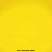 Festival Portugal GIF by Licor Beirão