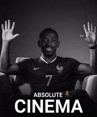 France Football GIF