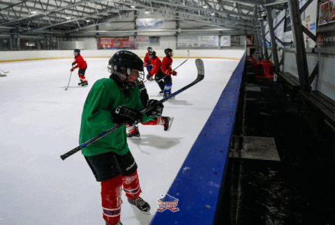 DraciLM giphygifmaker hockey hokejovetalenty GIF