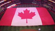 Canada Flag Mlb GIF by Toronto Blue Jays