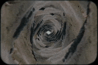 Music Video Acid GIF by Refresh Records