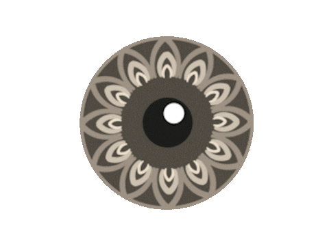 IrisFotoSchweiz giphyupload photography eye switzerland Sticker