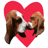 i love you hearts Sticker