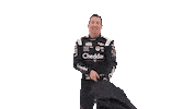 Kyle Busch Sticker by Richard Childress Racing