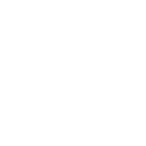 donpaolodj deejay torino springbreak vgmania Sticker