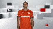 No Way Football GIF by Bundesliga