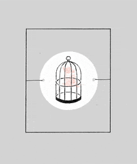 bird toy GIF by Thoka Maer