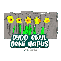 St Davids Day Dydd Gwyl Dewi Sticker