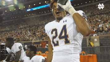 College Football GIF by Notre Dame Fighting Irish
