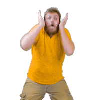 LesVideastes wow omg amazing react Sticker