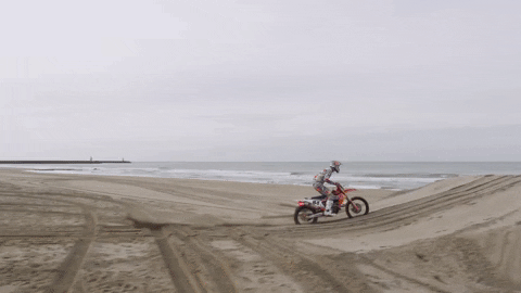 Red Bull F1 GIF by Red Bull Racing