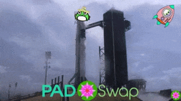 ToadNetwork giphyupload nft dex swap GIF