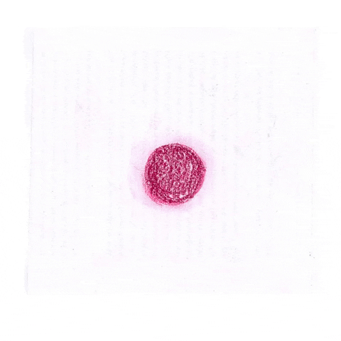 Art Animation GIF by PMS project