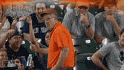 fan orioles GIF by MLB