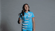Red Stars Soccer GIF by Chicago Stars FC