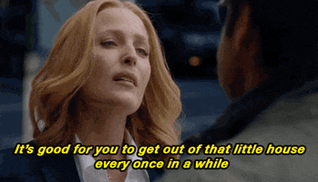 gillian anderson GIF by The X-Files