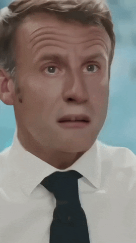 Macron GIF by systaime