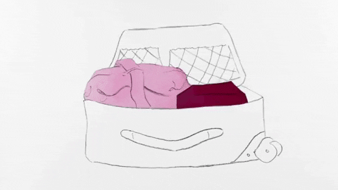 rowanblijd giphygifmaker tommy suitcase tommys GIF
