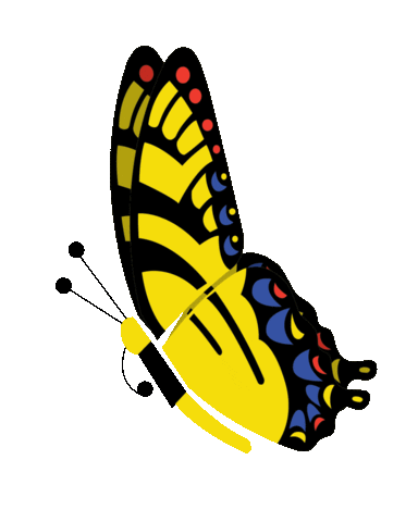 prairieplaysd giphyupload butterfly childrensmuseum cmsd Sticker