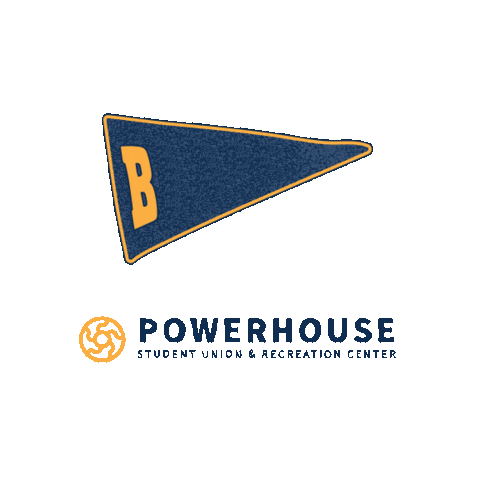 BeloitCollege giphyupload sports college sleeping Sticker
