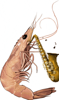 saxophone prawn GIF