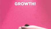 Grow Kevin Bacon GIF by SaveMyBacon