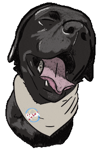 Tr1 Sticker