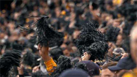 College Sports Sport GIF by WVU Sports