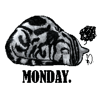 matchameowlatte cat mood tired sleep Sticker