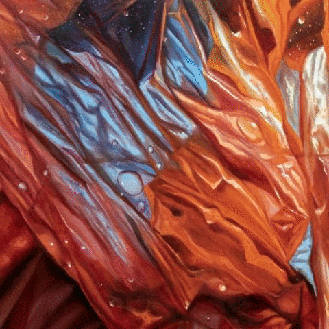 camiladomnguez3bd3 giphygifmaker GIF