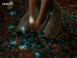 Jennifer Lawrence Cinema GIF by MUBI