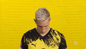 Look Up Borussia Dortmund GIF by Bundesliga